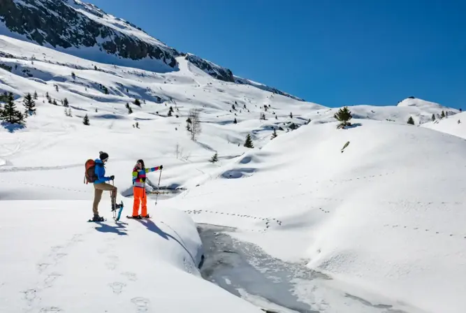Oz 3300 snowshoeing.webp