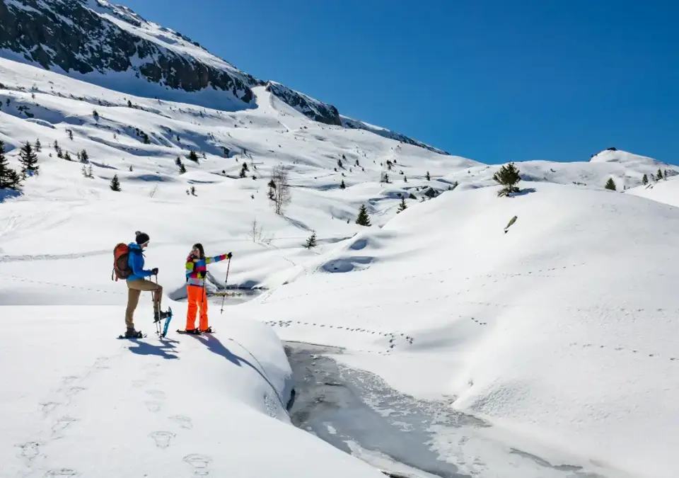 Oz 3300 snowshoeing.webp