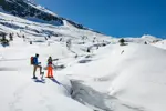Oz 3300 snowshoeing.webp