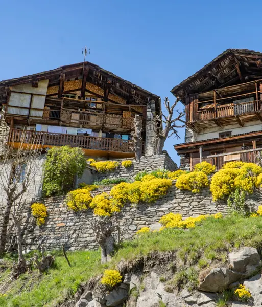 SUMMER HEADER-La Rosiere chalet buildings-2000px.webp