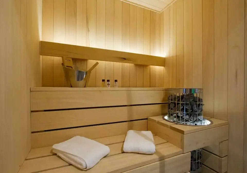 Chalet Panthere des Neiges-Les Deux Alpes-Sauna.webp