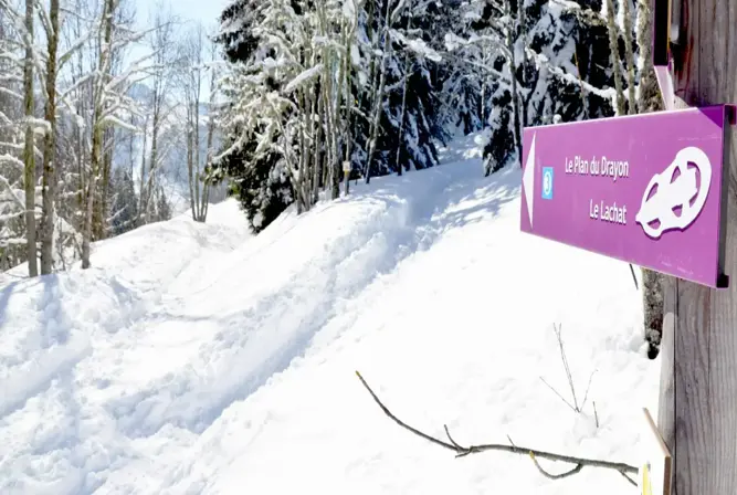 Notre Dame de Bellecombe Val d'Arly-Snowshoeing.webp