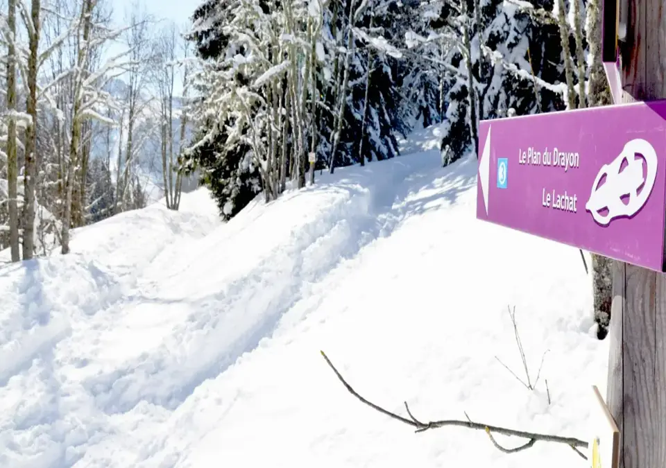 Notre Dame de Bellecombe Val d'Arly-Snowshoeing.webp