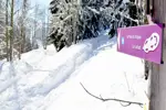 Notre Dame de Bellecombe Val d'Arly-Snowshoeing.webp