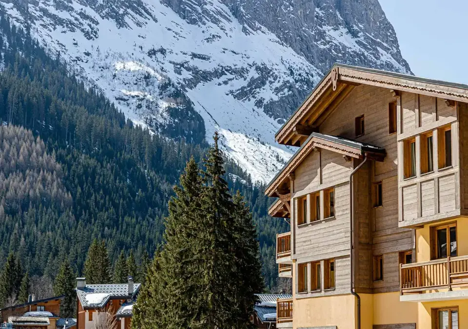 Les Jardin de la Vanoise-Pralognan-Ski-inski-out (4).webp