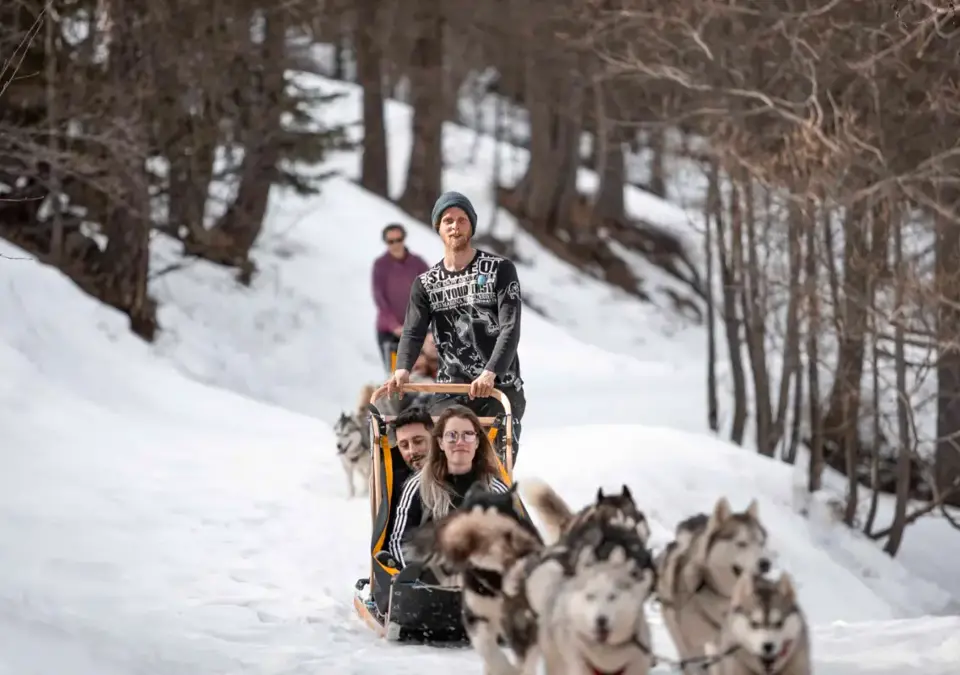 Auron - Dog sledding.webp