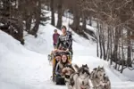 Auron - Dog sledding.webp