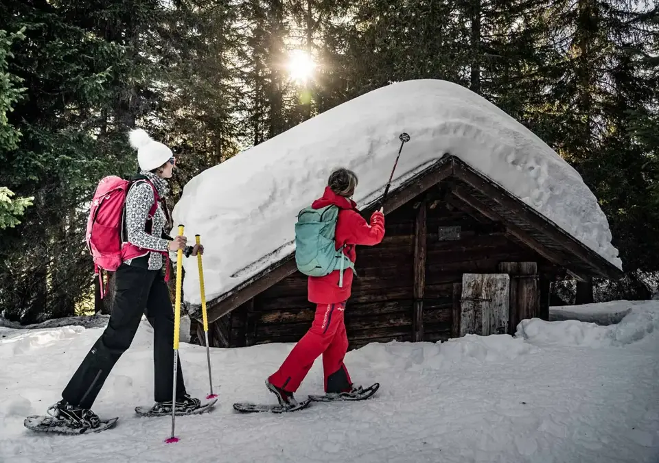 Manigod snowshoeing (4).webp