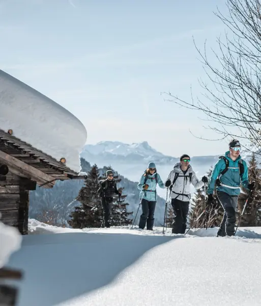 HEADER-Grand Bornand snowshoeing-2000px (2).webp