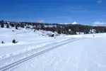 Les Saisies nordic skiing (4).webp