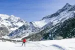 Les Arcs nordic skiing  (@Sahra Ronc).webp