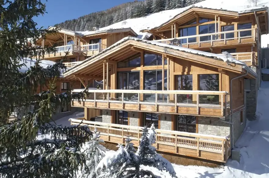 Chalet Panthere des Neiges-Les Deux Alpes (1).webp