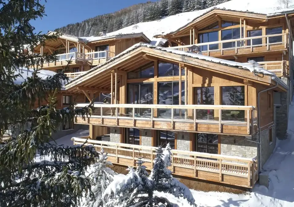 Chalet Panthere des Neiges-Les Deux Alpes (1).webp