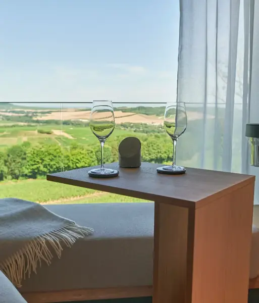 LOISIUM WINE & SPA HOTELSDSCF5162_HDR.webp