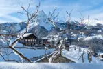 St Martin de Bellevile ski village (4).webp