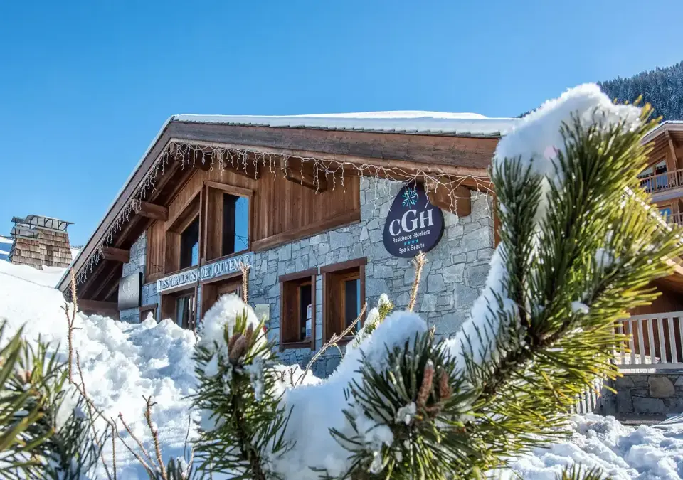 Les Chalets du Jouvence-Les Carroz d'Araches (7).webp