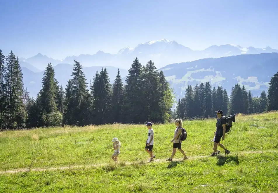 Combloux walking