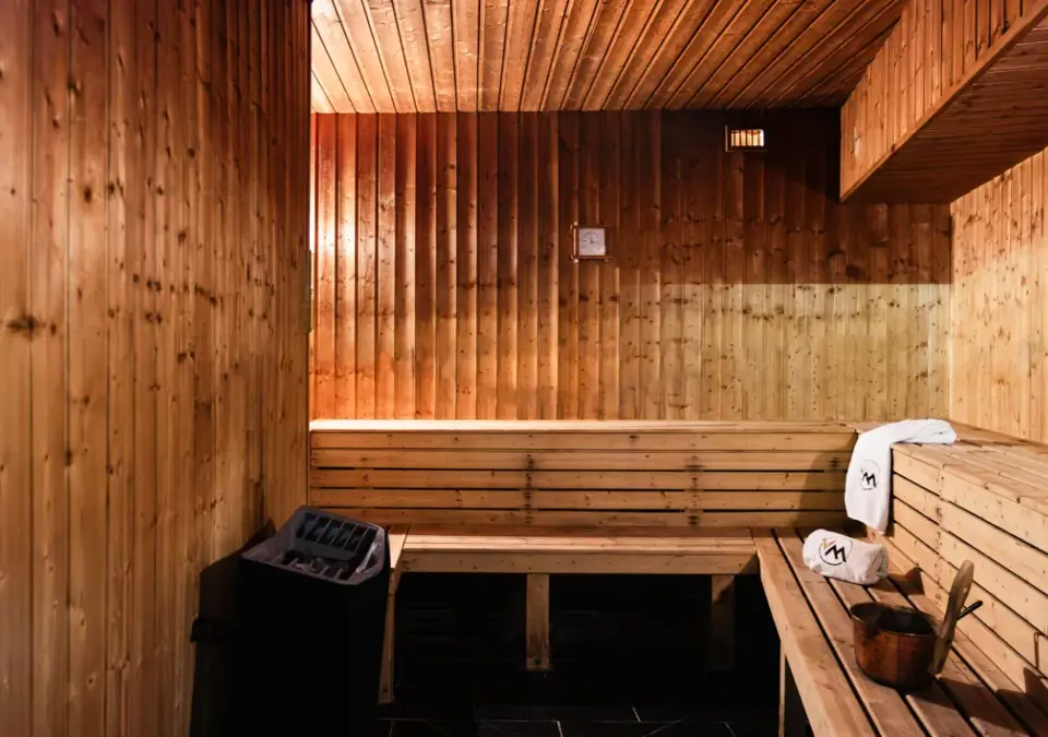 Montana Plein Sud-Val Thorens-Sauna.webp