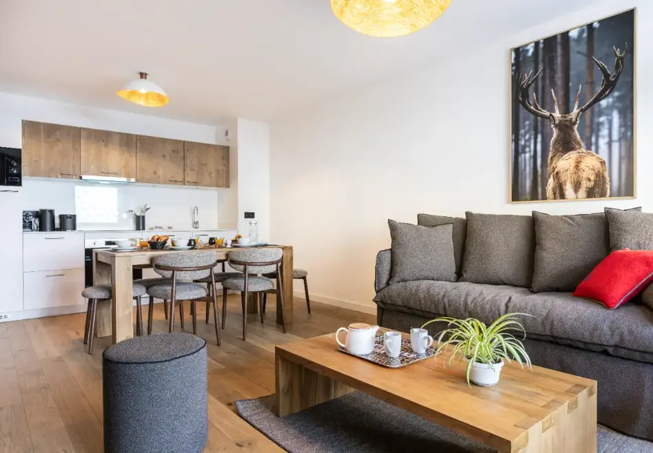 Source de Canopee, Saint Gervais les Bains - Typical 2 bed (©ManuReyBoz)