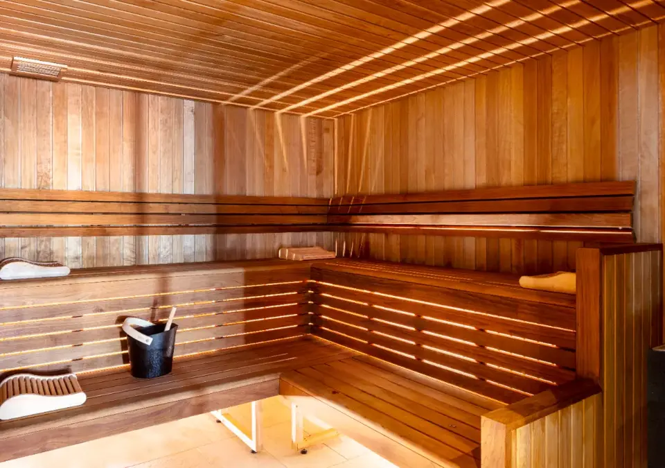 Hotel Chalet Mounier-Les Deux Alpes-Sauna.webp