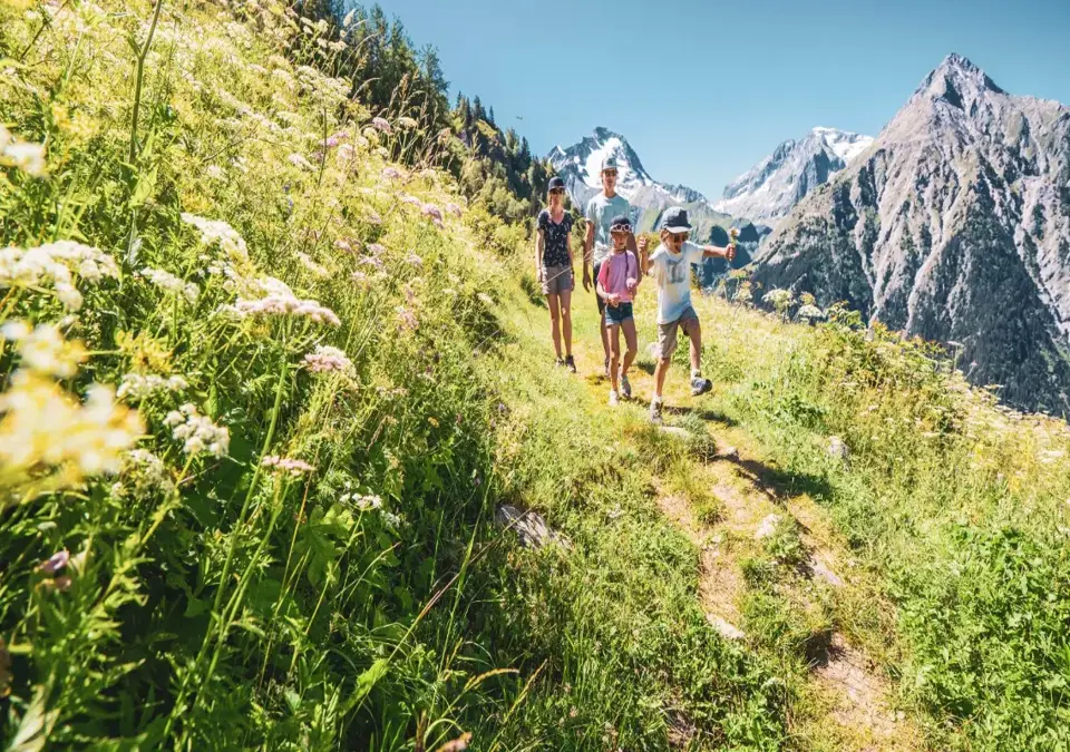 Les Deux Alpes family walking (1).webp