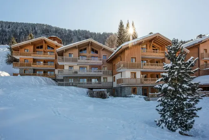 Les Chalets du Jouvence-Les Carroz d'Araches (8).webp