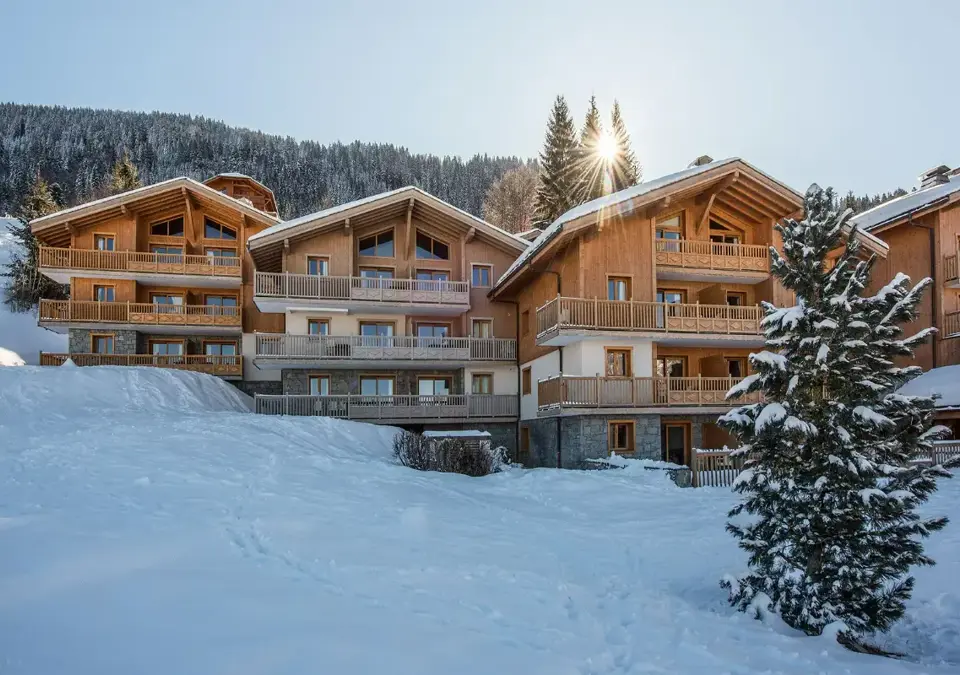 Les Chalets du Jouvence-Les Carroz d'Araches (8).webp