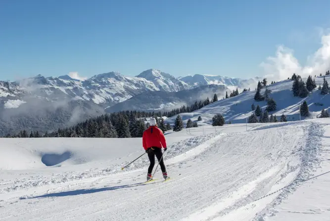 Lake Annecy-Semnoz (DominiqueLafon) (3).webp