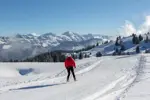 Lake Annecy-Semnoz (DominiqueLafon) (3).webp