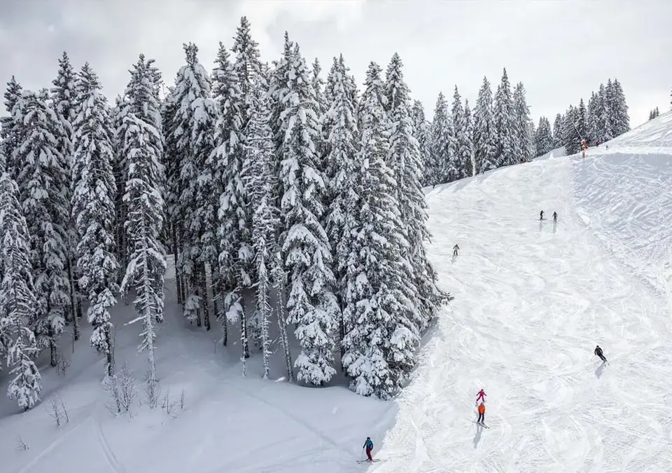 Megeve ski slopes (4).webp