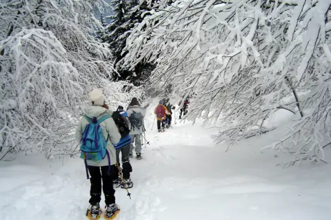Raquettesmorillon