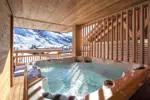 Chalet Le Lynx-Les Deux Alpes-Hot tub.webp