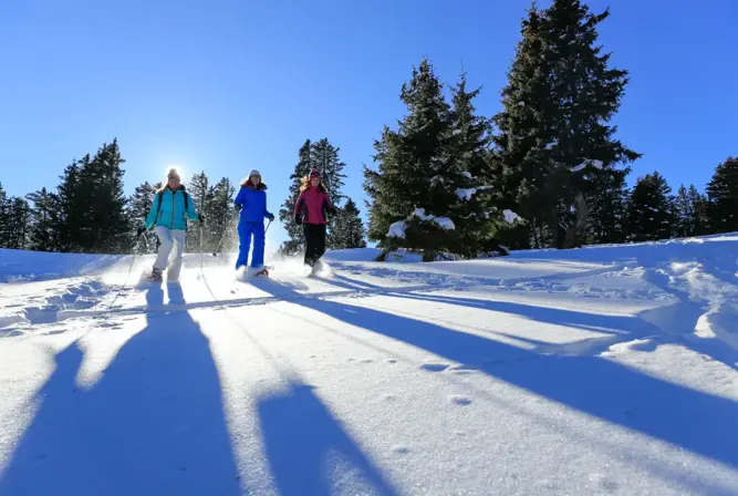 flaine-m.dalmasso (3).webp