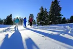flaine-m.dalmasso (3).webp