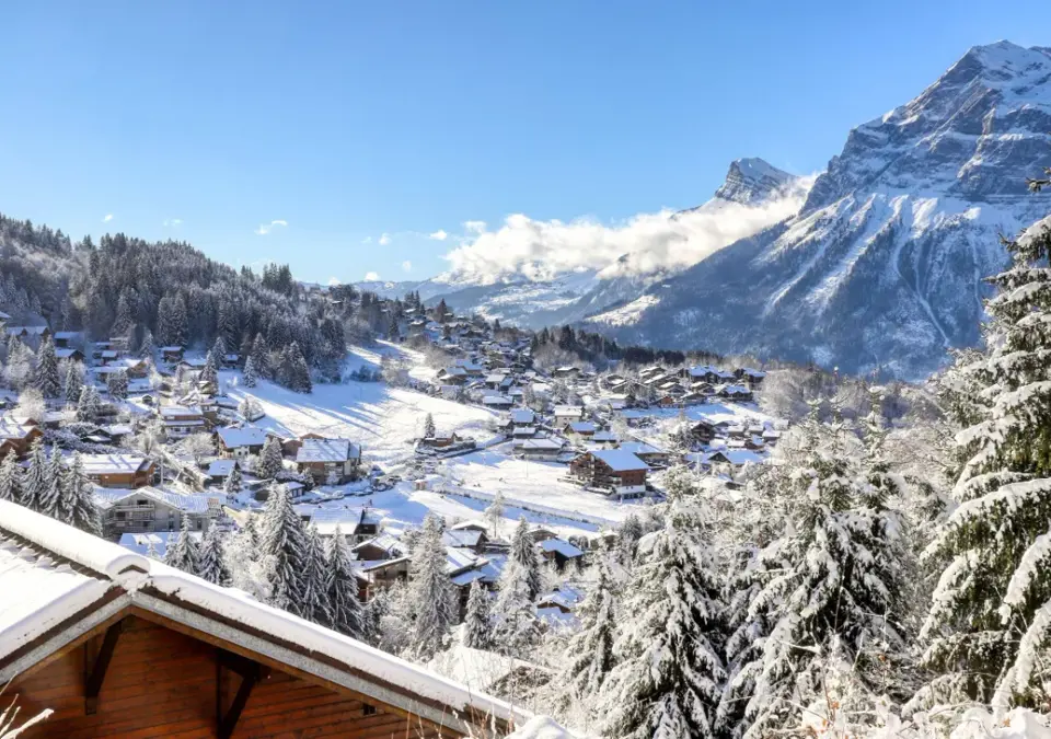 Les Carroz d'Araches village(Bouilleurdephoto) (6).webp