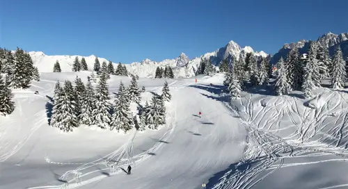Les Houches