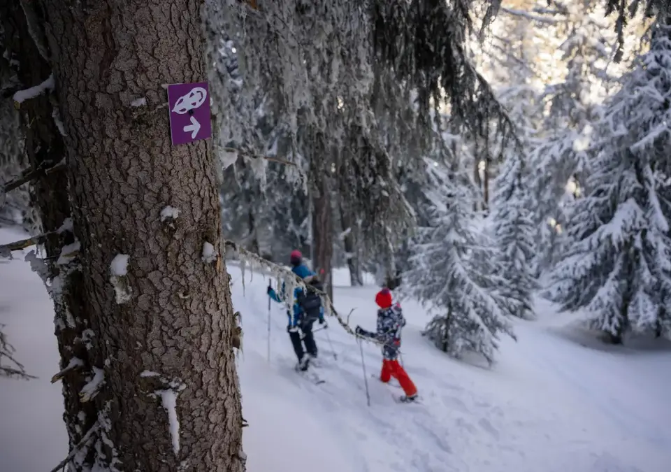 Snowshoeing Plagne Montalbert.webp