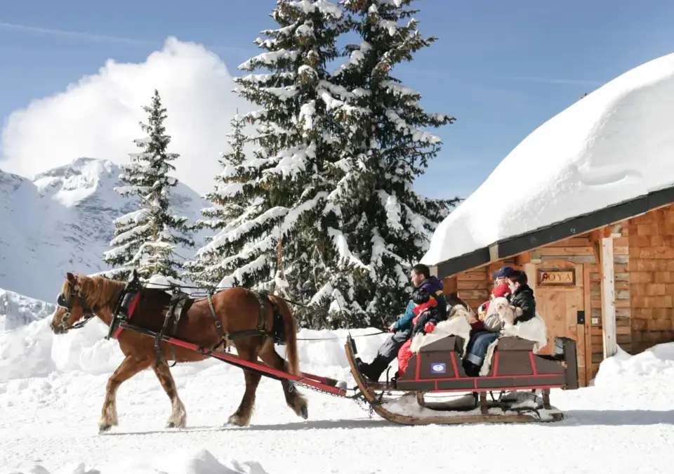 Avoriaz horses (1) (1).webp