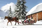 Avoriaz horses (1) (1).webp