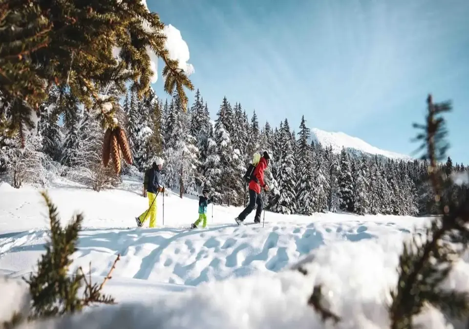 Villard de Lans snowshoeing.webp