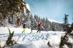Villard de Lans snowshoeing.webp