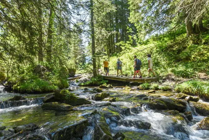 Morzine walking.webp