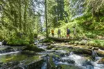 Morzine walking.webp