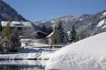 Chatel village (1).webp