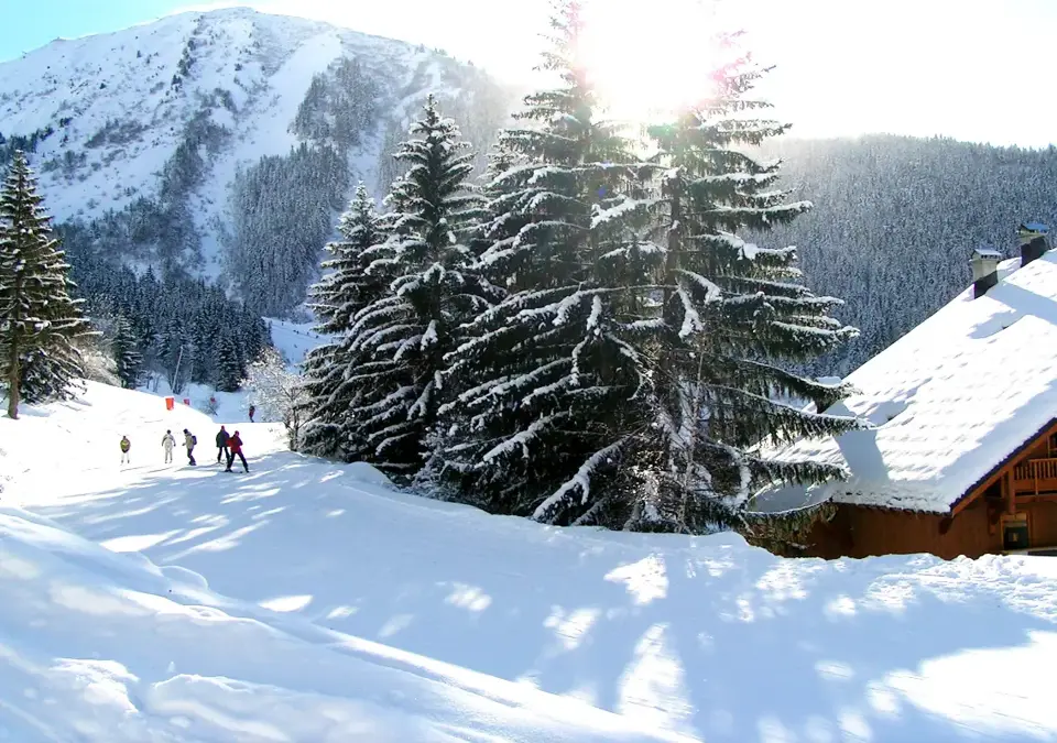 Oz 3300 ski slopes (3).webp