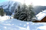 Oz 3300 ski slopes (3).webp
