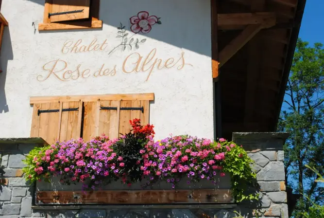 SUMMER - Rose des Alpes-Samoens.webp
