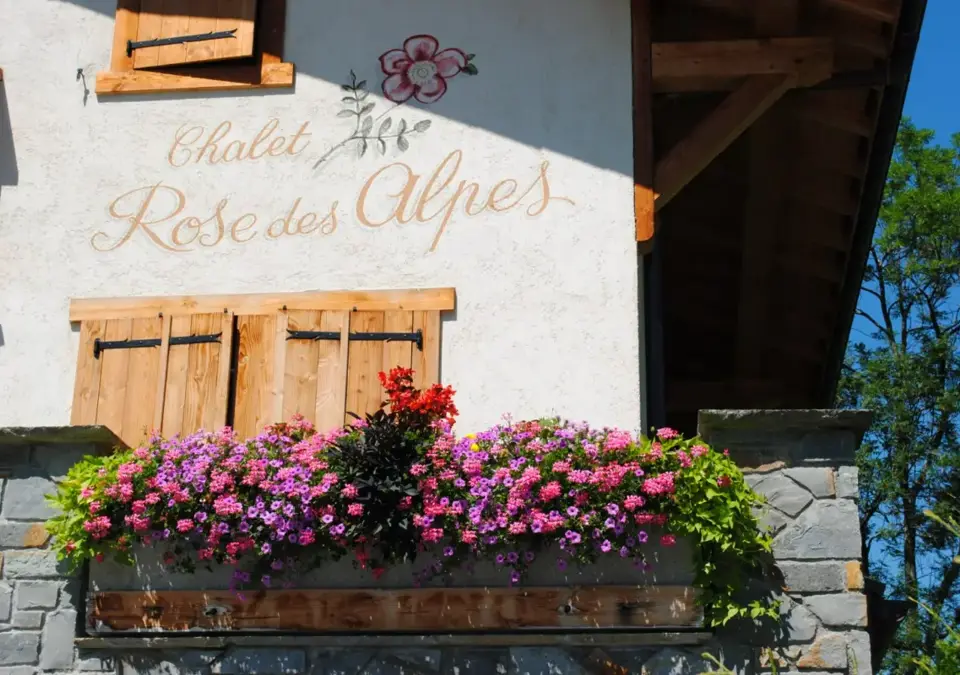 SUMMER - Rose des Alpes-Samoens.webp