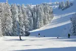 Les Carroz d'Araches ski slopes (2).webp