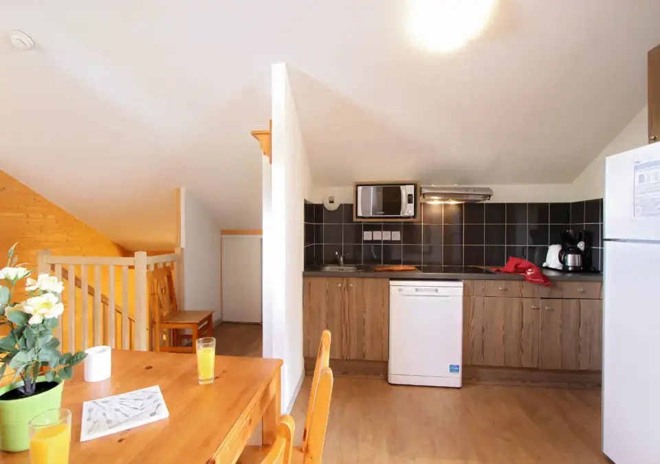 l'Ours Blanc-Les Deux Alpes-Typical apartment (11).webp